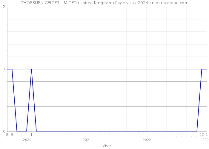 THORBURN GEIGER LIMITED (United Kingdom) Page visits 2024 