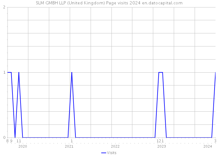 SLM GMBH LLP (United Kingdom) Page visits 2024 