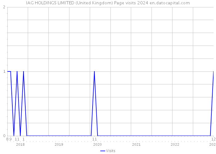 IAG HOLDINGS LIMITED (United Kingdom) Page visits 2024 