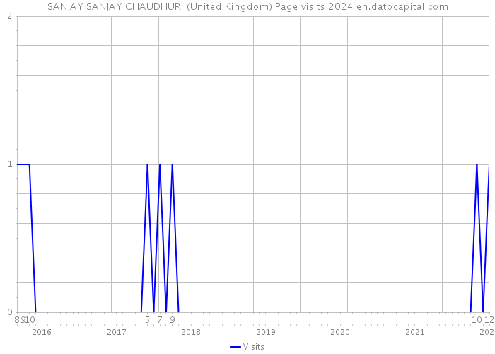 SANJAY SANJAY CHAUDHURI (United Kingdom) Page visits 2024 