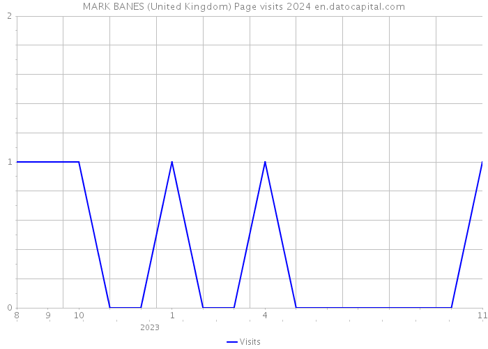 MARK BANES (United Kingdom) Page visits 2024 