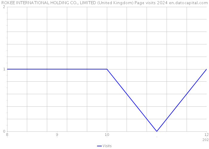 ROKEE INTERNATIONAL HOLDING CO., LIMITED (United Kingdom) Page visits 2024 
