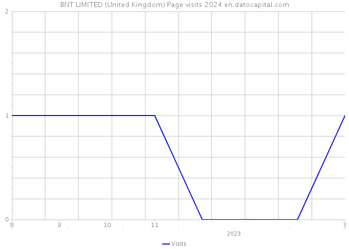 BNT LIMITED (United Kingdom) Page visits 2024 