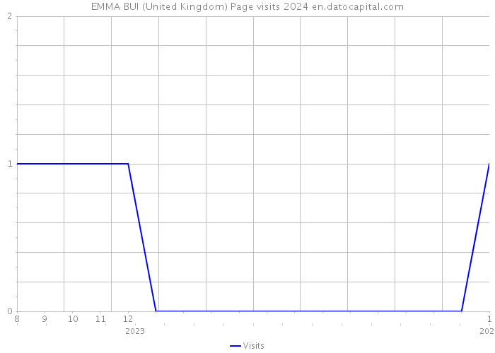 EMMA BUI (United Kingdom) Page visits 2024 