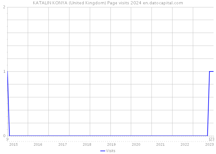 KATALIN KONYA (United Kingdom) Page visits 2024 