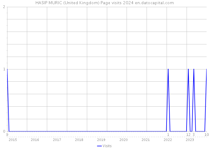 HASIP MURIC (United Kingdom) Page visits 2024 