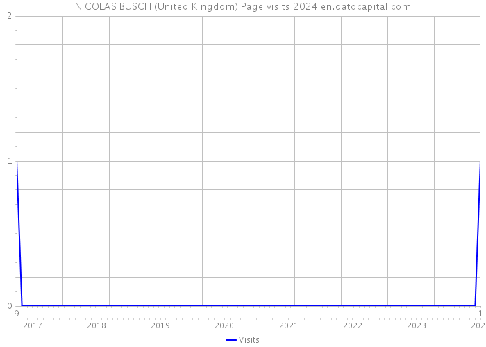 NICOLAS BUSCH (United Kingdom) Page visits 2024 