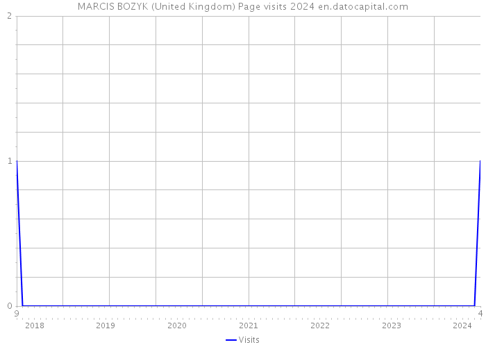 MARCIS BOZYK (United Kingdom) Page visits 2024 