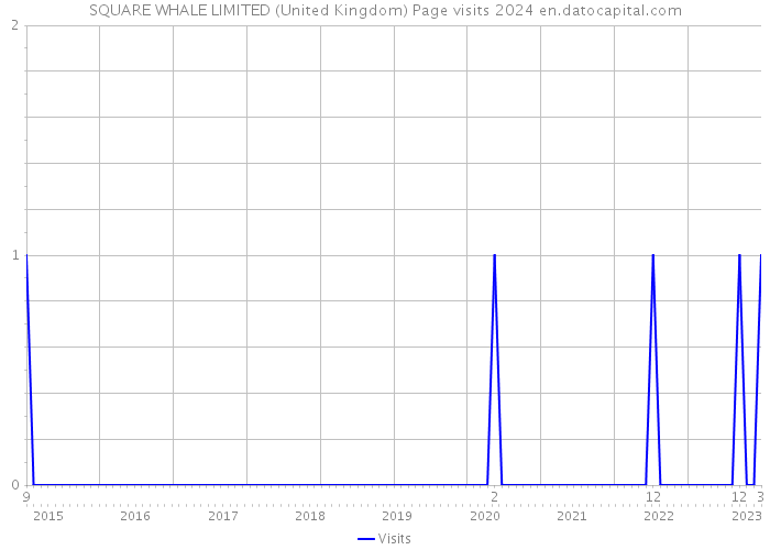 SQUARE WHALE LIMITED (United Kingdom) Page visits 2024 