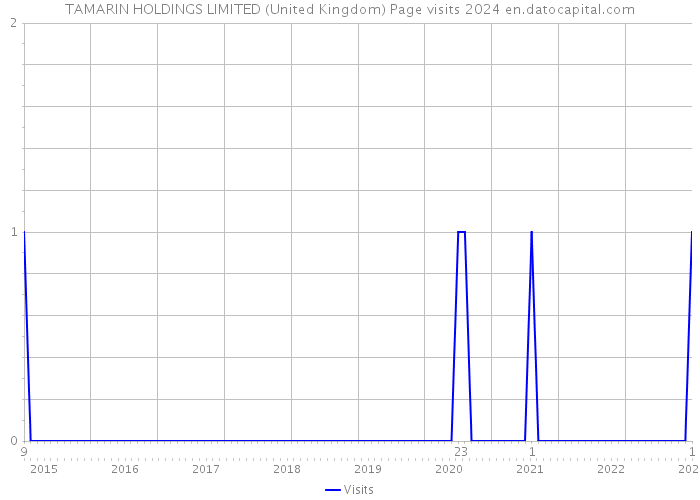TAMARIN HOLDINGS LIMITED (United Kingdom) Page visits 2024 