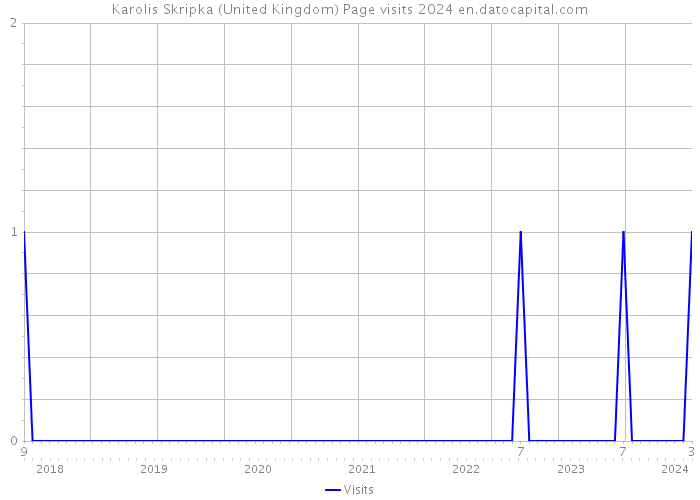 Karolis Skripka (United Kingdom) Page visits 2024 