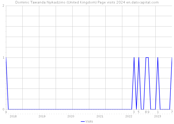 Dominic Tawanda Nyikadzino (United Kingdom) Page visits 2024 
