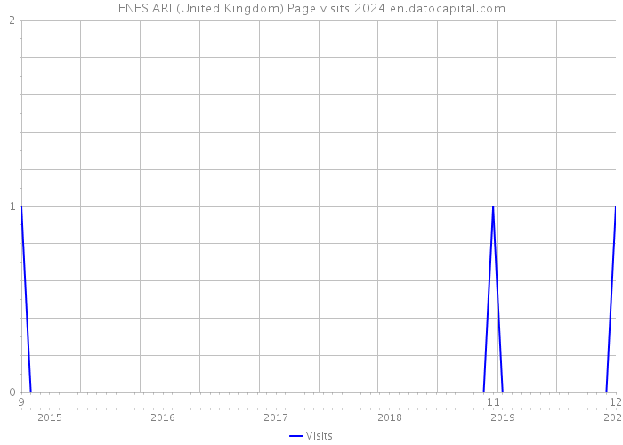 ENES ARI (United Kingdom) Page visits 2024 