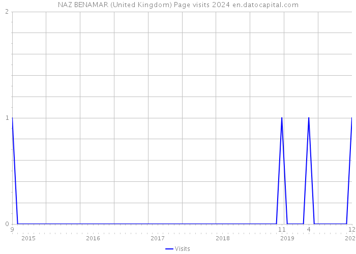 NAZ BENAMAR (United Kingdom) Page visits 2024 