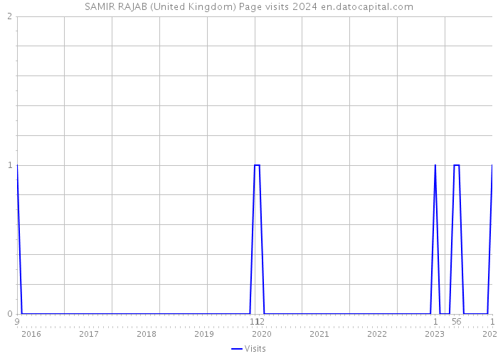 SAMIR RAJAB (United Kingdom) Page visits 2024 