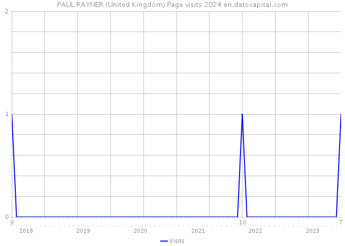 PAUL RAYNER (United Kingdom) Page visits 2024 