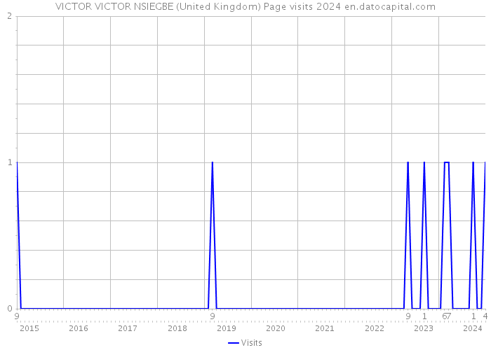 VICTOR VICTOR NSIEGBE (United Kingdom) Page visits 2024 