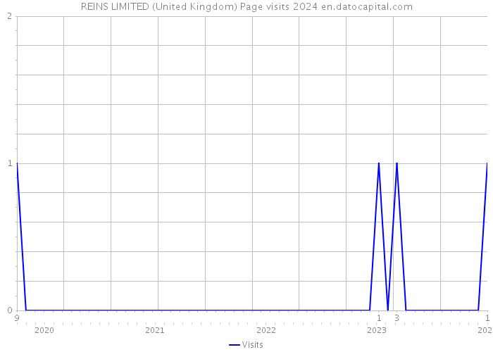 REINS LIMITED (United Kingdom) Page visits 2024 