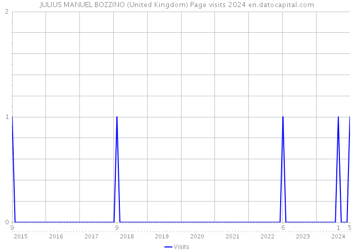 JULIUS MANUEL BOZZINO (United Kingdom) Page visits 2024 