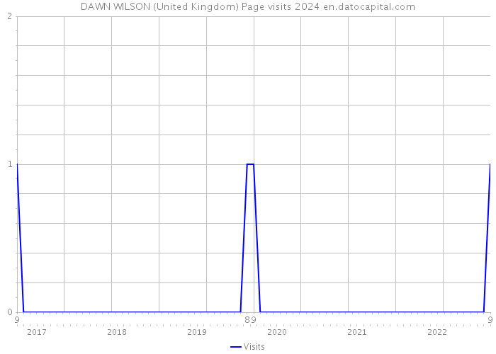 DAWN WILSON (United Kingdom) Page visits 2024 