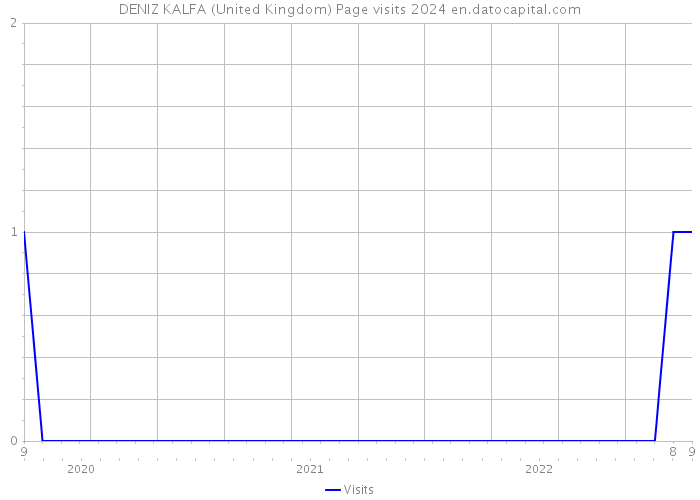 DENIZ KALFA (United Kingdom) Page visits 2024 