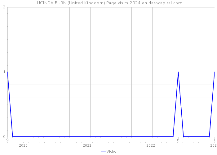 LUCINDA BURN (United Kingdom) Page visits 2024 