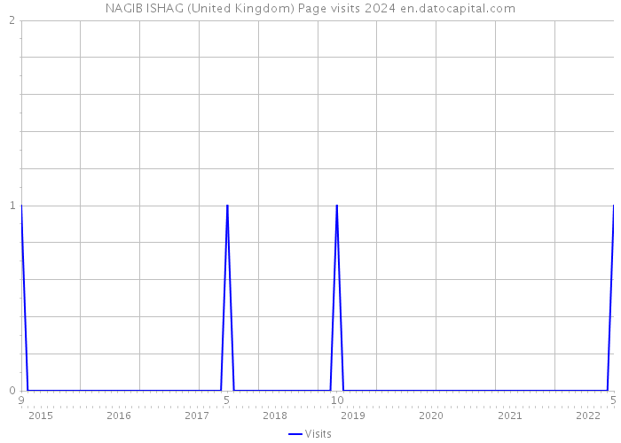 NAGIB ISHAG (United Kingdom) Page visits 2024 