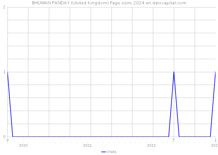 BHUWAN PANDAY (United Kingdom) Page visits 2024 