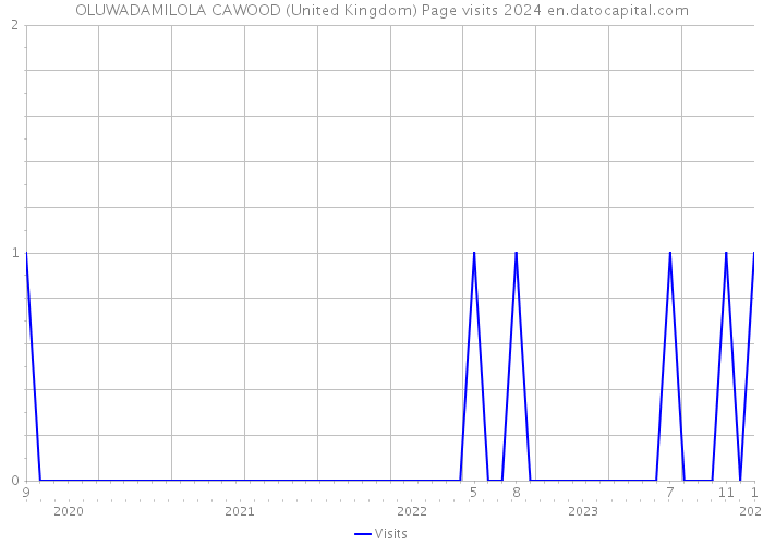 OLUWADAMILOLA CAWOOD (United Kingdom) Page visits 2024 