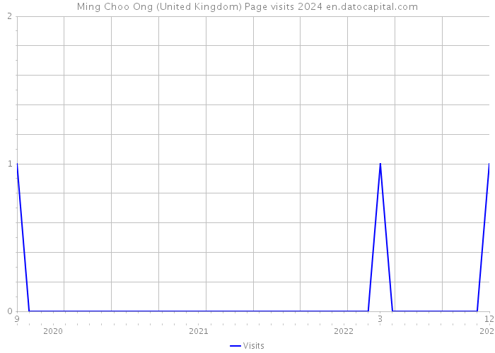 Ming Choo Ong (United Kingdom) Page visits 2024 