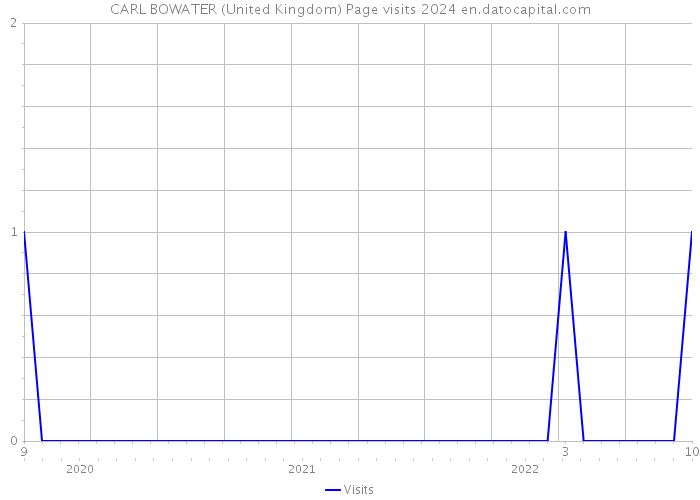 CARL BOWATER (United Kingdom) Page visits 2024 