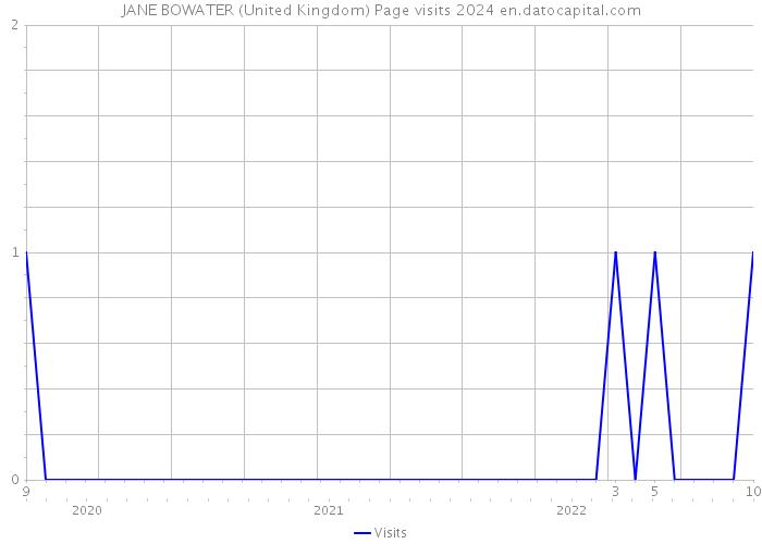 JANE BOWATER (United Kingdom) Page visits 2024 