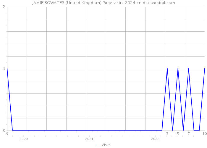 JAMIE BOWATER (United Kingdom) Page visits 2024 