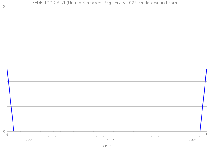 FEDERICO CALZI (United Kingdom) Page visits 2024 