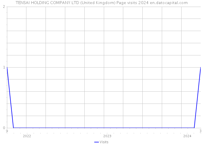 TENSAI HOLDING COMPANY LTD (United Kingdom) Page visits 2024 