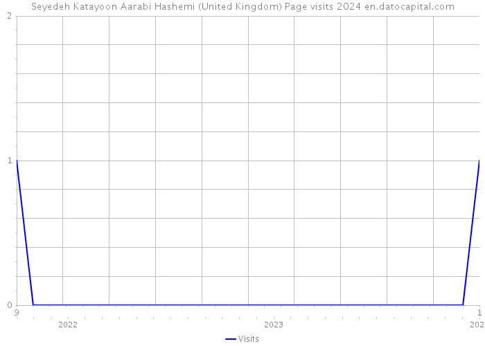 Seyedeh Katayoon Aarabi Hashemi (United Kingdom) Page visits 2024 