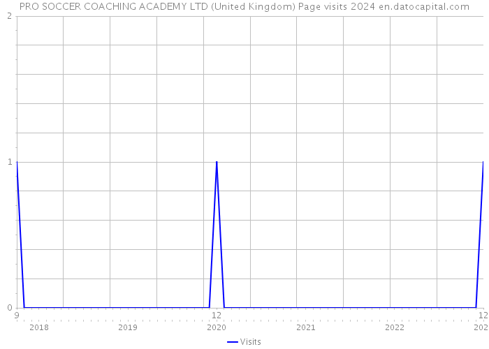 PRO SOCCER COACHING ACADEMY LTD (United Kingdom) Page visits 2024 