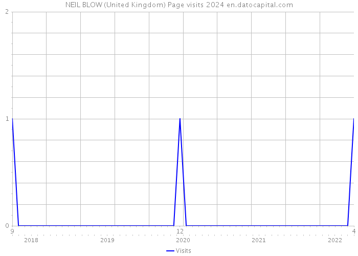 NEIL BLOW (United Kingdom) Page visits 2024 