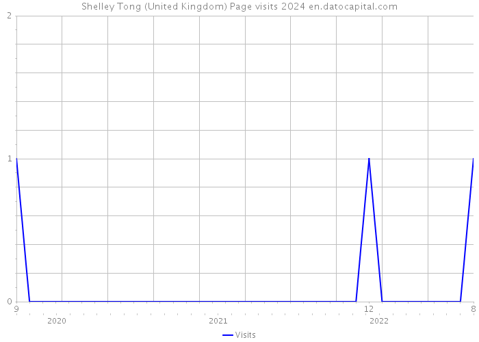 Shelley Tong (United Kingdom) Page visits 2024 