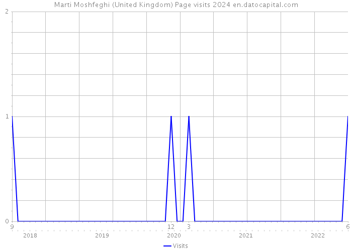 Marti Moshfeghi (United Kingdom) Page visits 2024 
