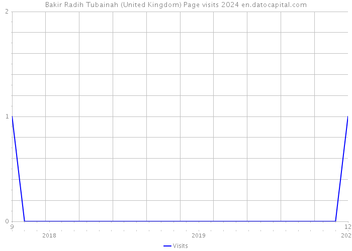 Bakir Radih Tubainah (United Kingdom) Page visits 2024 