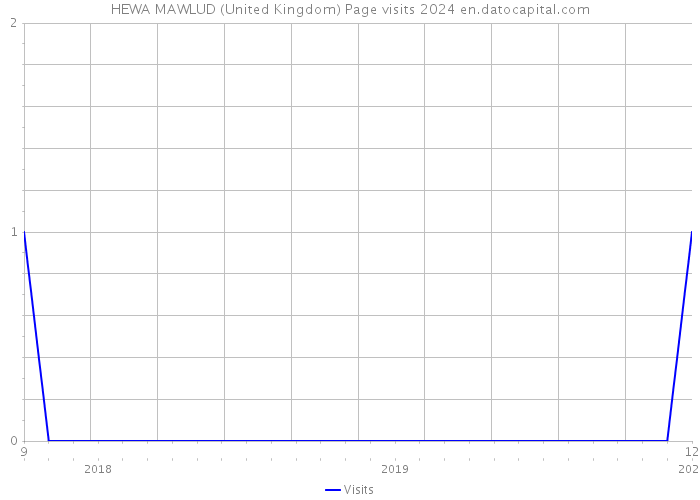 HEWA MAWLUD (United Kingdom) Page visits 2024 