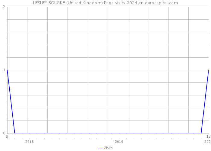 LESLEY BOURKE (United Kingdom) Page visits 2024 