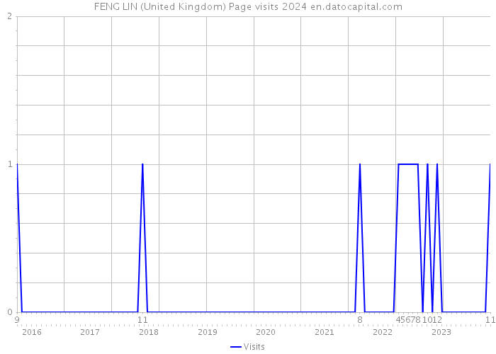 FENG LIN (United Kingdom) Page visits 2024 