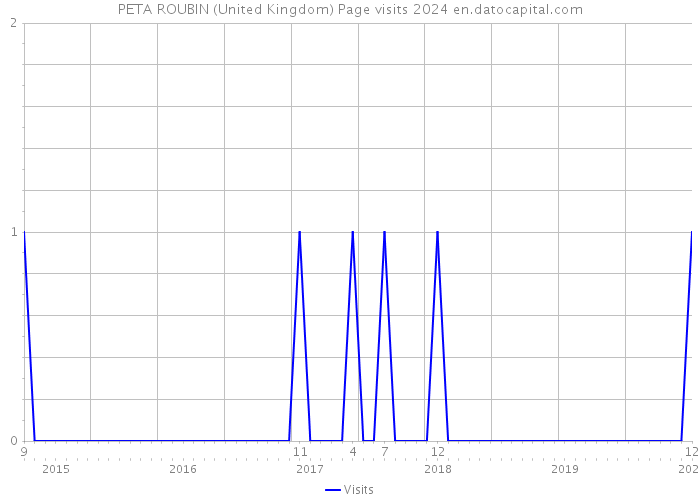 PETA ROUBIN (United Kingdom) Page visits 2024 