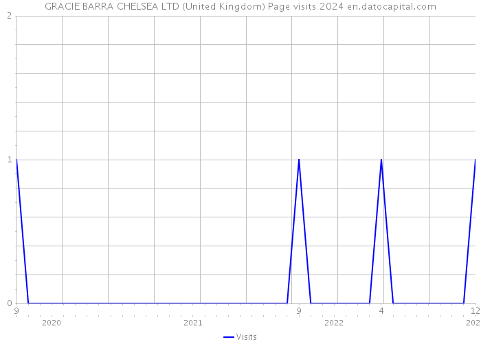 GRACIE BARRA CHELSEA LTD (United Kingdom) Page visits 2024 