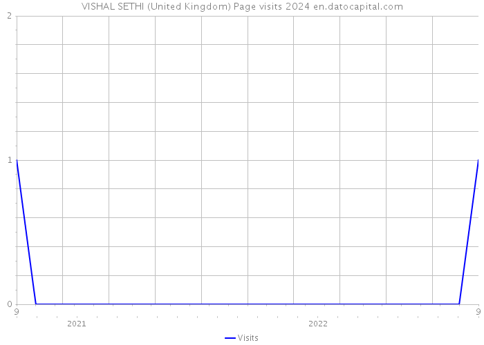 VISHAL SETHI (United Kingdom) Page visits 2024 