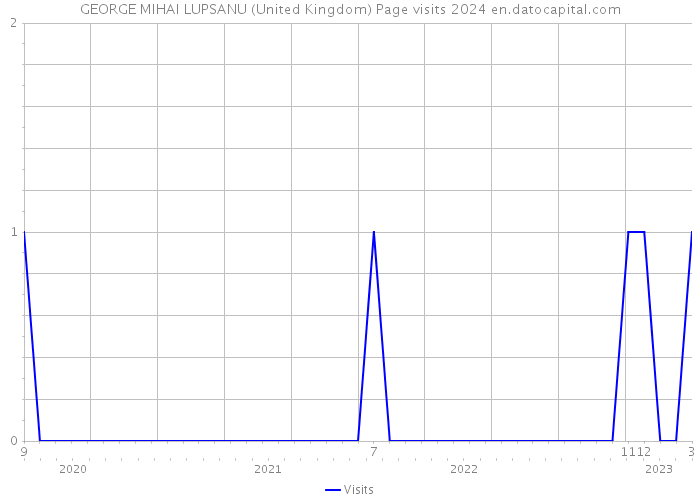 GEORGE MIHAI LUPSANU (United Kingdom) Page visits 2024 