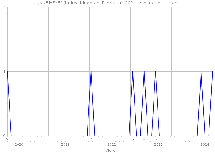 JANE HEYES (United Kingdom) Page visits 2024 