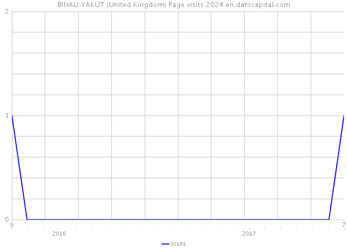 BINALI YAKUT (United Kingdom) Page visits 2024 